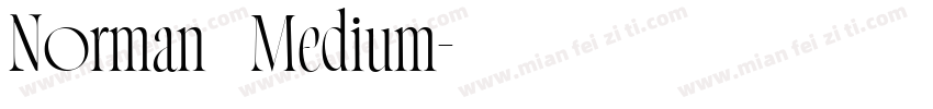 Norman   Medium字体转换